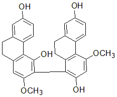 2025新老澳门原料