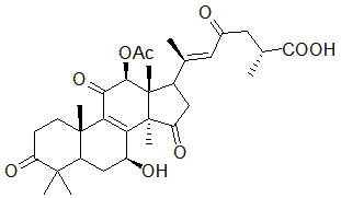 2025新老澳门原料