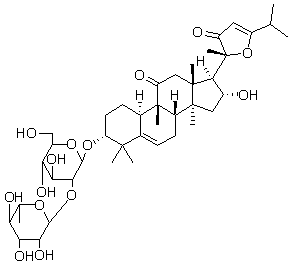 2025新老澳门原料