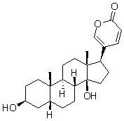 2025新老澳门原料