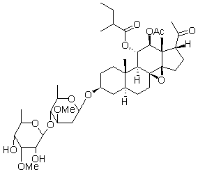 2025新老澳门原料