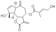 2025新老澳门原料