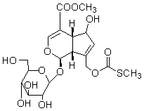 2025新老澳门原料