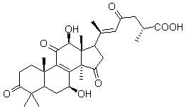 2025新老澳门原料
