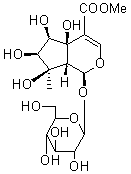 2025新老澳门原料
