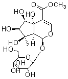 2025新老澳门原料
