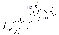 2025新老澳门原料