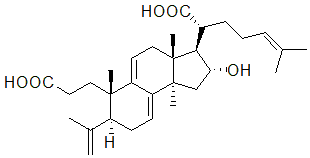 2025新老澳门原料