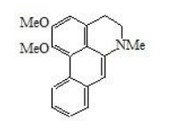 2025新老澳门原料