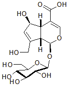 2025新老澳门原料