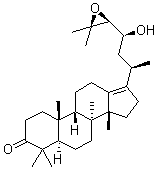 2025新老澳门原料
