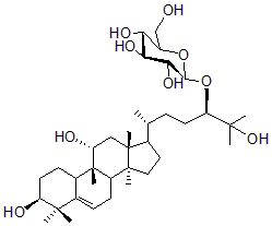 2025新老澳门原料