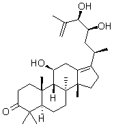 2025新老澳门原料