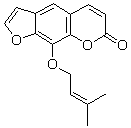 2025新老澳门原料