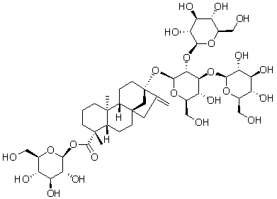 2025新老澳门原料