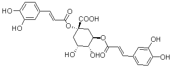 2025新老澳门原料
