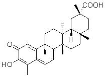 2025新老澳门原料