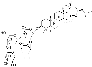 2025新老澳门原料