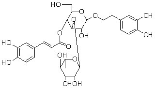 2025新老澳门原料