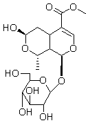 2025新老澳门原料