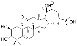 2025新老澳门原料