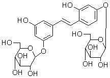 2025新老澳门原料