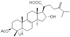 2025新老澳门原料