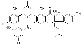 2025新老澳门原料