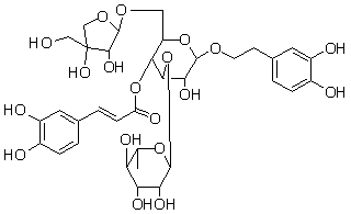 2025新老澳门原料
