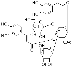 2025新老澳门原料