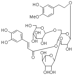 2025新老澳门原料