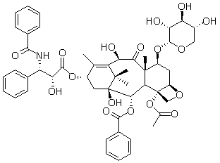 2025新老澳门原料