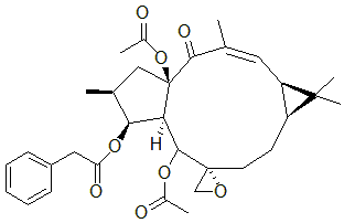 2025新老澳门原料