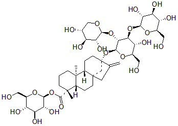 2025新老澳门原料