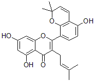 2025新老澳门原料