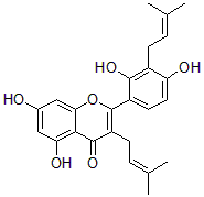 2025新老澳门原料
