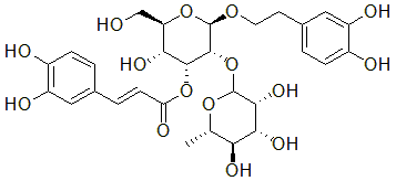 2025新老澳门原料