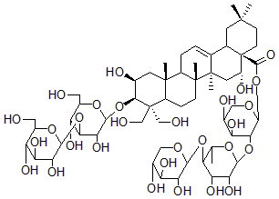 2025新老澳门原料