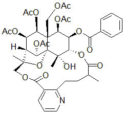 2025新老澳门原料