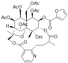 2025新老澳门原料
