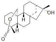 2025新老澳门原料