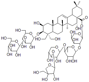 2025新老澳门原料