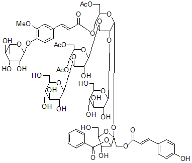 2025新老澳门原料