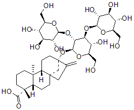 2025新老澳门原料