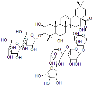 2025新老澳门原料