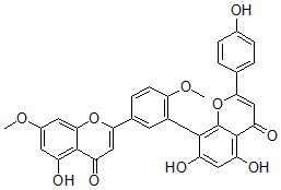 2025新老澳门原料