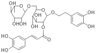 2025新老澳门原料