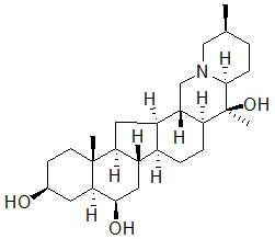 2025新老澳门原料