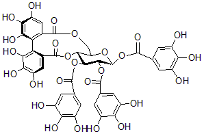 2025新老澳门原料