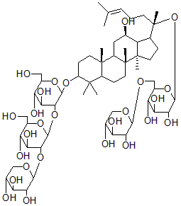 2025新老澳门原料